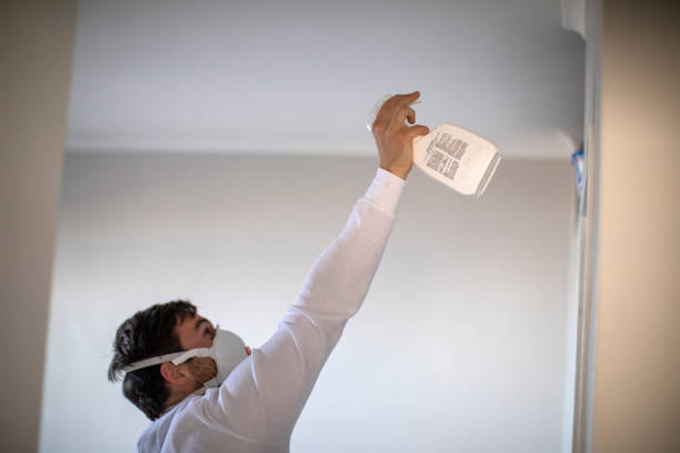 Attic Mold Removal in West Mayfield, PA