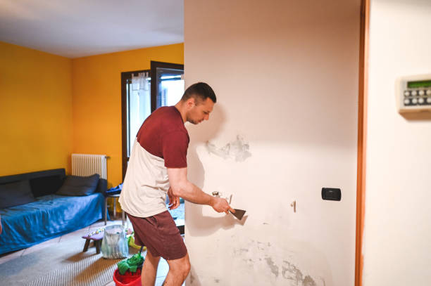 Best Professional Mold Removal  in West Mayfield, PA